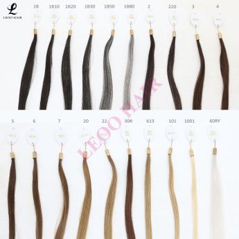 Leoo European Color Chart