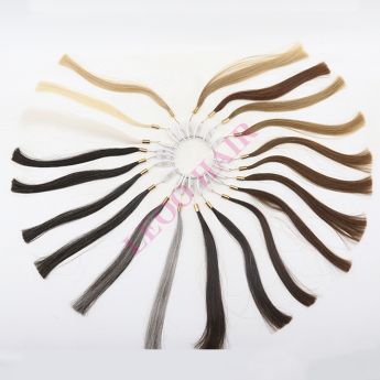 Leoo European Color Chart